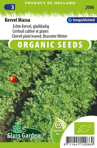 Cerfeuil cultivé et plates EKO