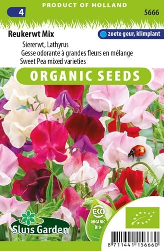 Pois de Senteur / A grandes fleurs EKO
