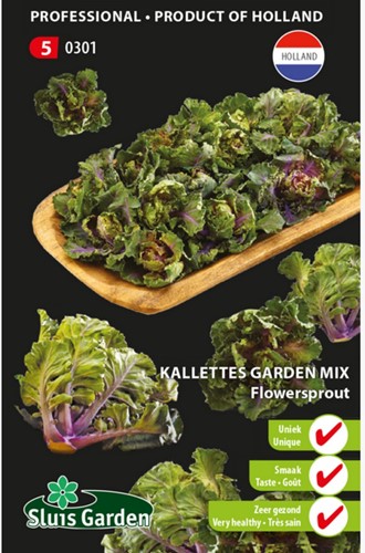 Kalettes, Flowersprout
