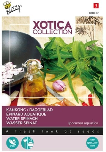 Kancon, épinard aquatique - Xotica Collection