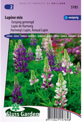 Lupin de Hartweg annuelle en mélange