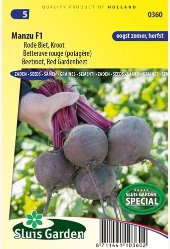 Betterave rouge (potagère) Manzu F1 - Beta vulgaris