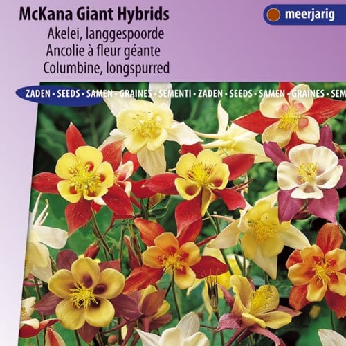 Ancolie à fleur géante McKana Giant Hybrids - Aquilegia