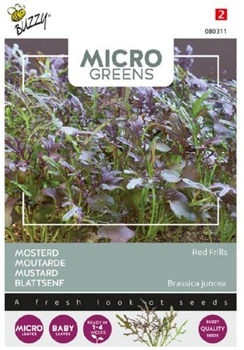 Moutarde Red Frills - Buzzy Microgreens