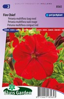 Petunia Multiflora Fire Chief Rouge