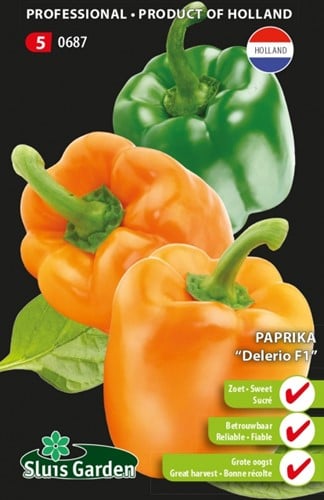 Poivron Delerio F1