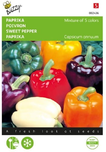 Poivron mélange de 5 couleurs - Capsicum annuum