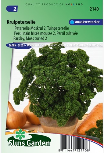 Persil nain frisée mousse 2