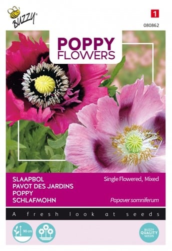 Pavot des Jardins simple, varié - Poppy Flowers
