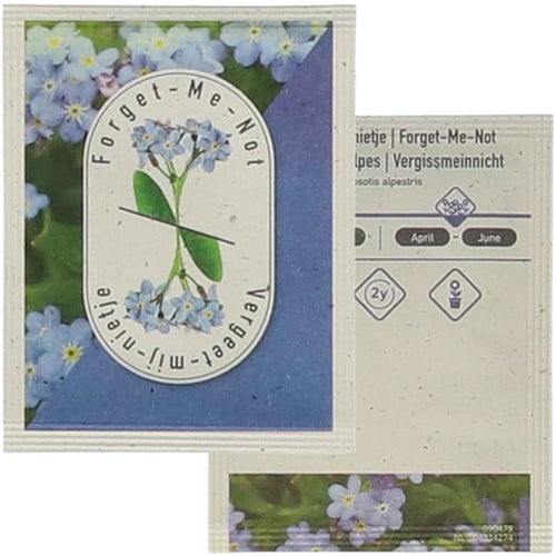 Graines de Myosotis - Myosotis alpestri