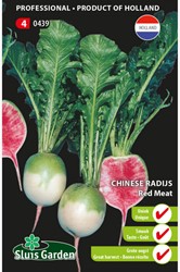 Radis chinoise Red Meat (Raphanus Sativus)