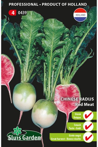 Radis chinoise Red Meat (Raphanus Sativus)