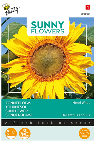 Tournesol Henri Wilde - Sunny Flowers
