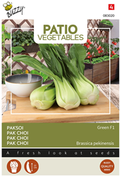 Pak Choi Green F1 - Buzzy Patio Vegetables