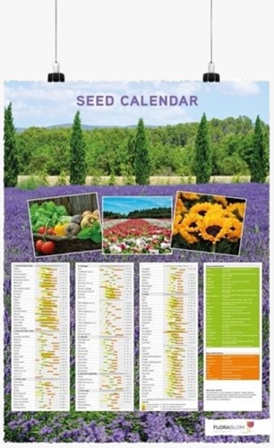Poster Calendrier des Semis Anglais - Enroulé
