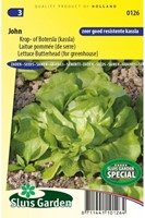Krop- of Botersla John - Lactuca sativa-2