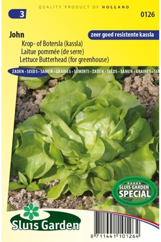 Krop- of Botersla John - Lactuca sativa-2