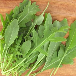 Roquette sauvage Rocky Wild EKO