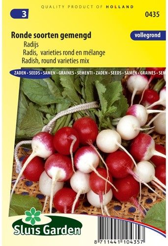 Radis, varieties rond en mélange-2