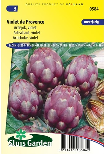 Artichaut Violet de Provence-2