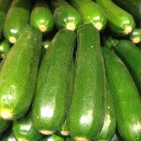 Courgette d'Italie Defender F1
