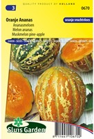 Meloen Oranje Ananas-2