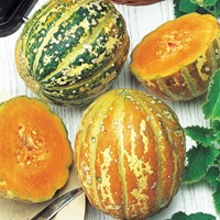 Meloen Oranje Ananas