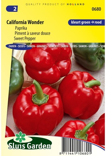 Paprika California Wonder-2