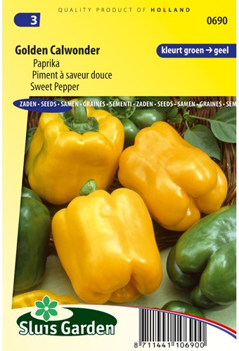 Paprika California Wonder yellow-2