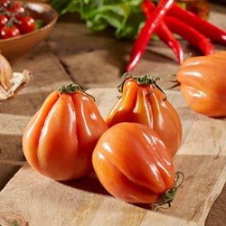 Tomate Coeur de Boeuf