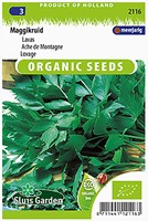 Lavas Maggiplant EKO - Levisticum officinalis-2