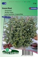 Kruizemunt - Mentha spicata crispa-2