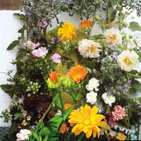 Fleurs et herbes comestibles