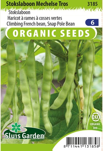 Haricot à rames à cosses vertes Mechelse Tros BIO - Phaseolus vulgaris Graines biologiques.