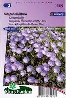 Campanule des monts Carpathes Bleu-2