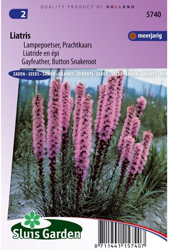 Lampepoetser Prachtkaars - Liatris-2