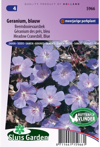 Geranium pratense Blauw-2