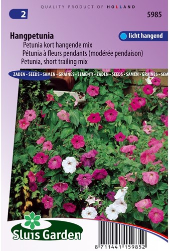 Petunia, kort hangende mix-2