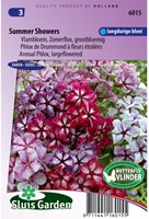 Vlambloem Summer Showers Mix (Phlox)-2