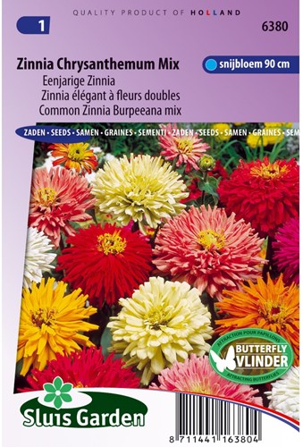 Zinnia élégant à fleurs doubles Chrysanthemum Mix-2