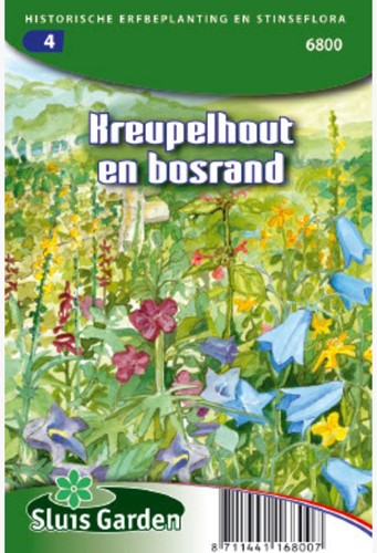 Bordures ensoleillées des fourrés et de la lisière d'un bois – Mélange de fleurs sauvages locales