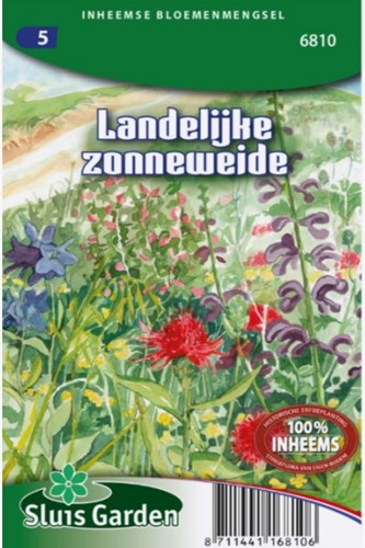 Prés rustiques et champêtres – Mélange de fleurs sauvages locales