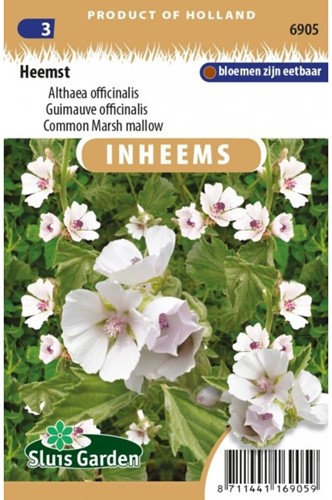 Heemst - Althaea officinalis-2