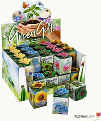 Greengifts Mélange 40 pcs en Showbox