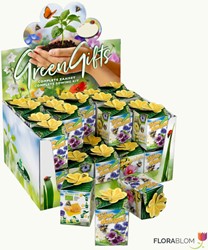 Greengift Mélange de fleurs pour abeilles 40 pcs en showbox