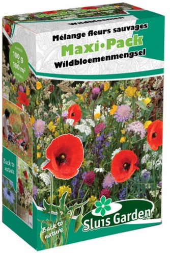 Épandeur mélange de graines de Fleurs des Champs SAUVAGE - Maxi Pack Sluis Garden-2
