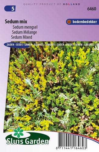Orpin Mélange - Sedum