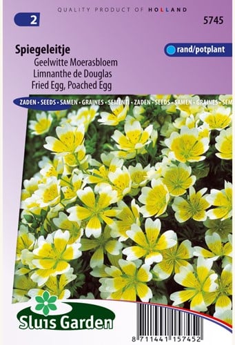 Limnanthe de Douglas Yellow + White