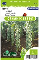 Chou de Bruxelles Igor F1 EKO