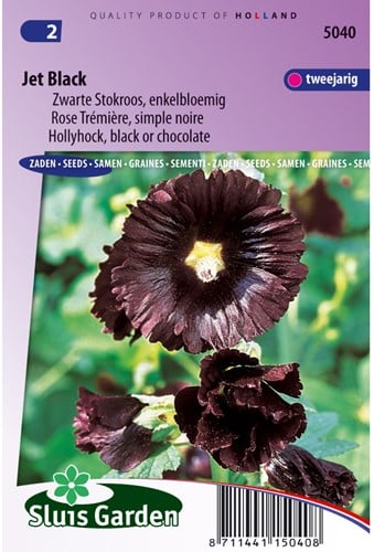 Rose Trémière simple noir Jet Black